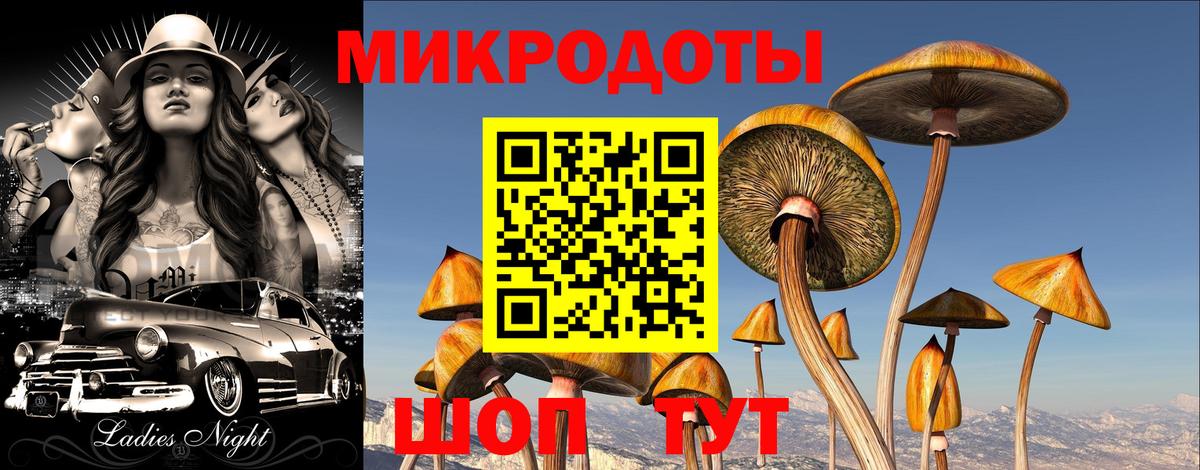 Галлюциногенные грибы Psilocybe  продажа наркотиков  Нефтекумск  Вход с VPN  Псилоцибиновые грибы Psilocybe 